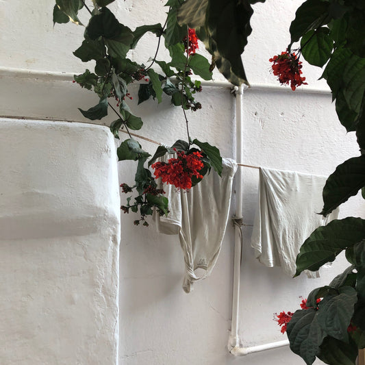 white wash