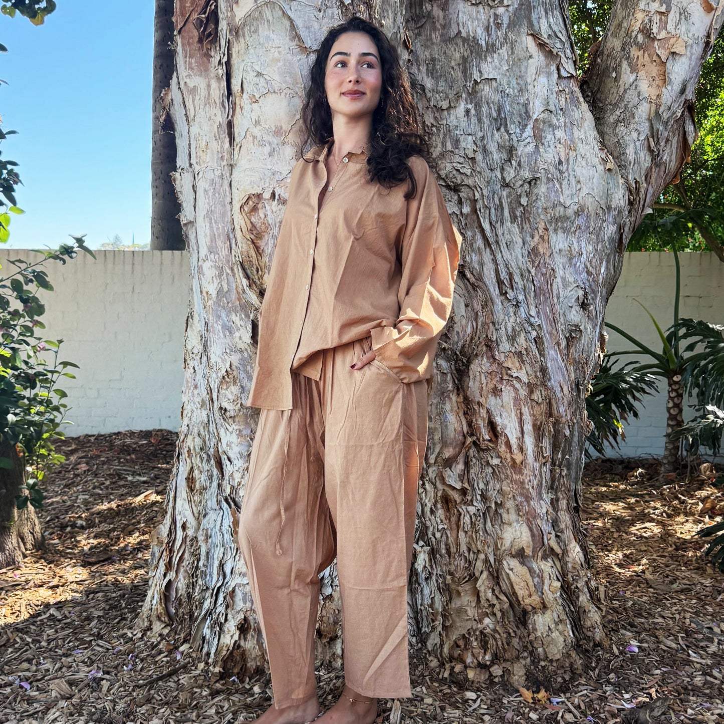 collar button down cotton shirt 28